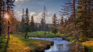 white mountains