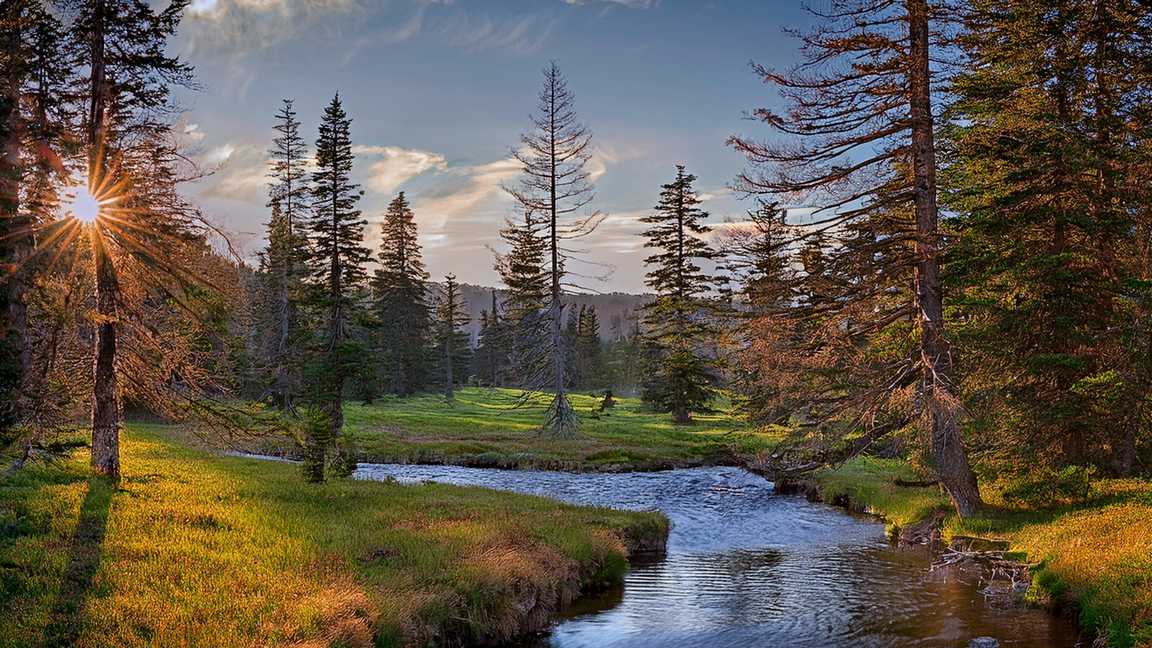 white mountains